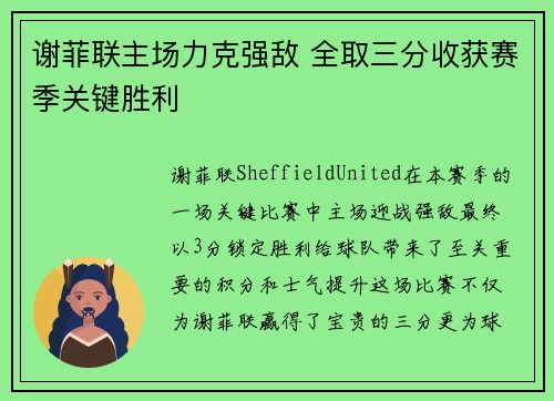谢菲联主场力克强敌 全取三分收获赛季关键胜利